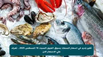 تغير جديد في أسعار السمك بسوق العبور السبت 16 أغسطس 2025.. تعرف على الأسعار الآن